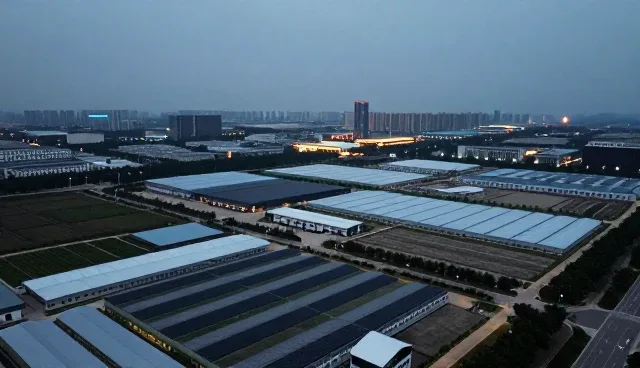 如何在实际操作中精准匹配业务需求与定制方案
